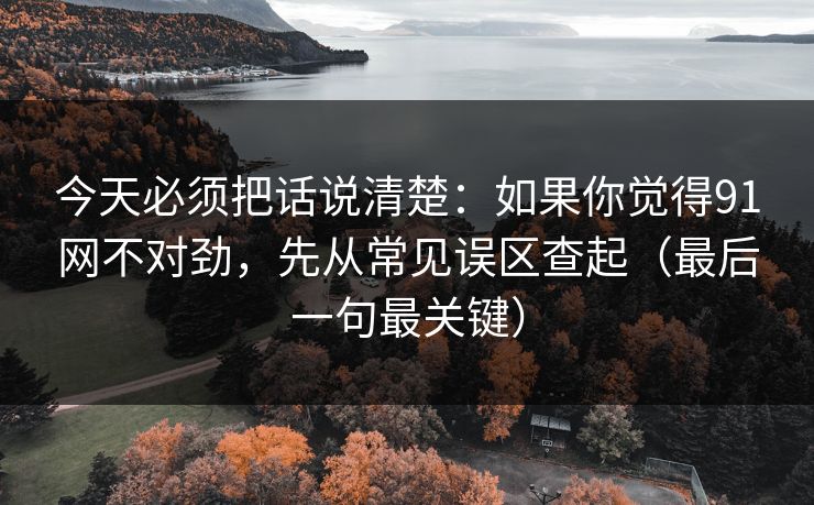 今天必须把话说清楚:如果你觉得91网不对劲,先从常见误区查起(最后一句最关键) 今天必须把话说清楚:如果你觉得91网不对劲,先从常见误区查起(最后一句最关键)