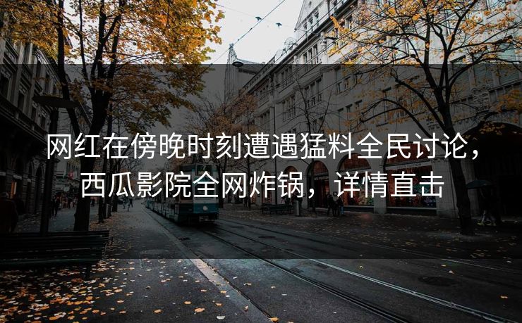 网红在傍晚时刻遭遇猛料全民讨论，西瓜影院全网炸锅，详情直击