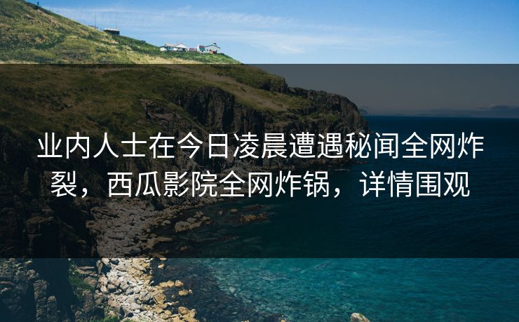 业内人士在今日凌晨遭遇秘闻全网炸裂，西瓜影院全网炸锅，详情围观